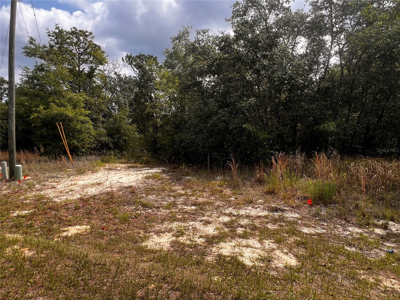 7095 N Foxdale Drive Citrus Springs FL 34434 W7885692 image8