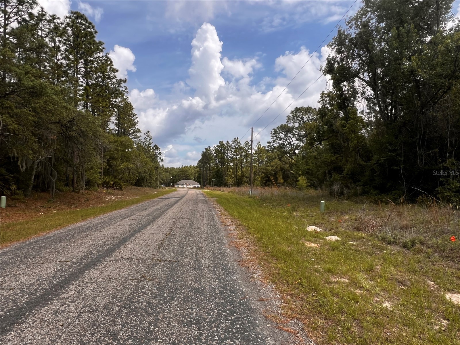 7095 N Foxdale Drive Citrus Springs FL 34434 W7885692 image9