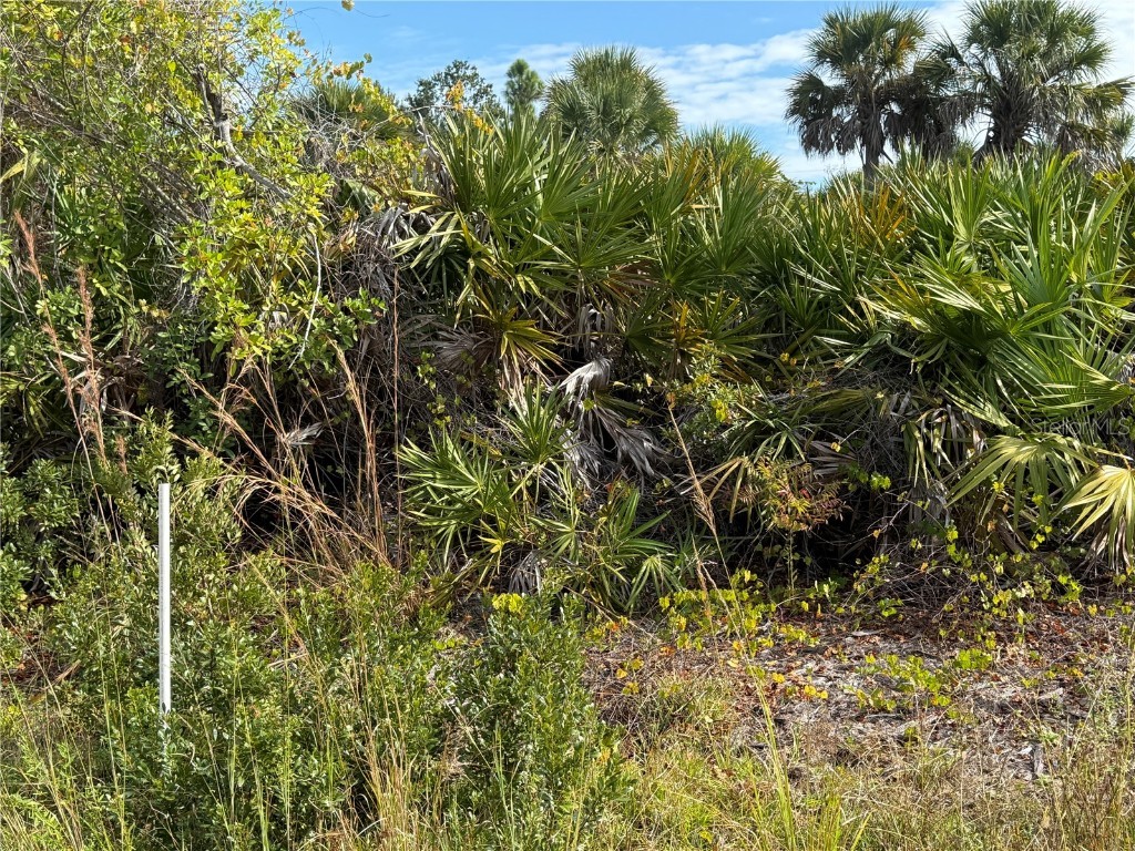 7098 Princeton Street Port Charlotte FL 33981 A4671576 image3