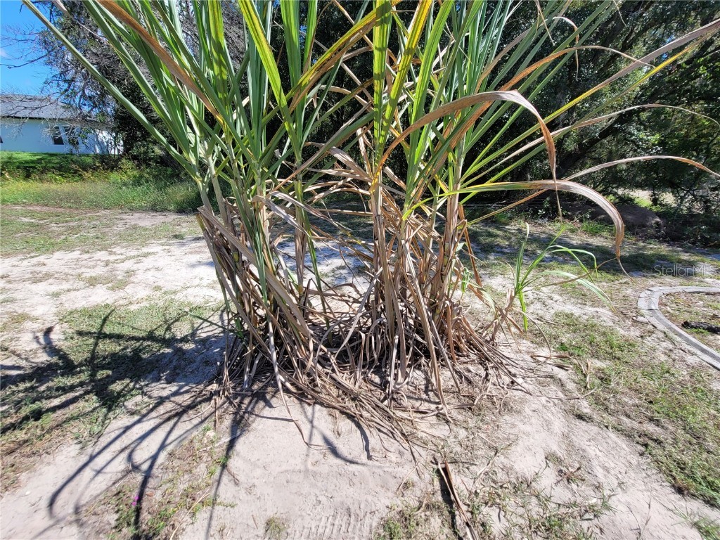 7098 SW 131st Loop Ocala FL 34473 L4956667 image43