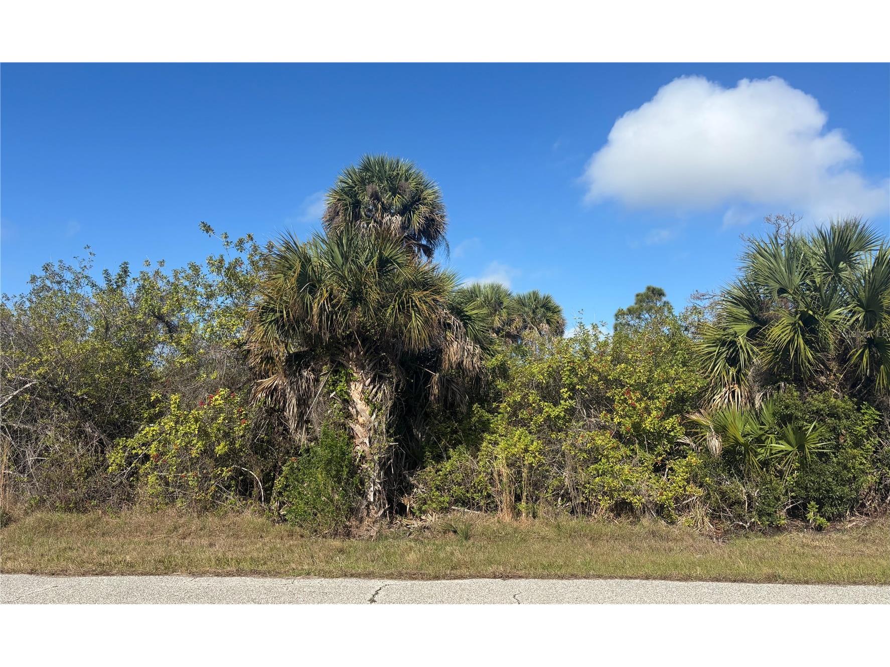 7099 Embry Street Port Charlotte FL 33981 C7524302 image2