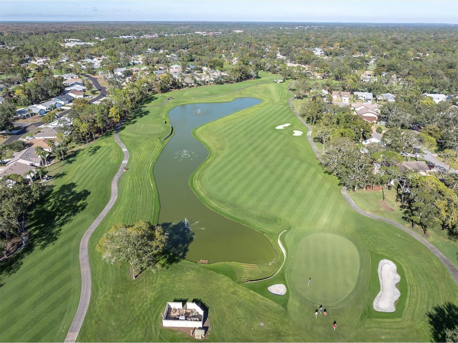 7099 Pond View Court Spring Hill FL 34606 W7881187 image3