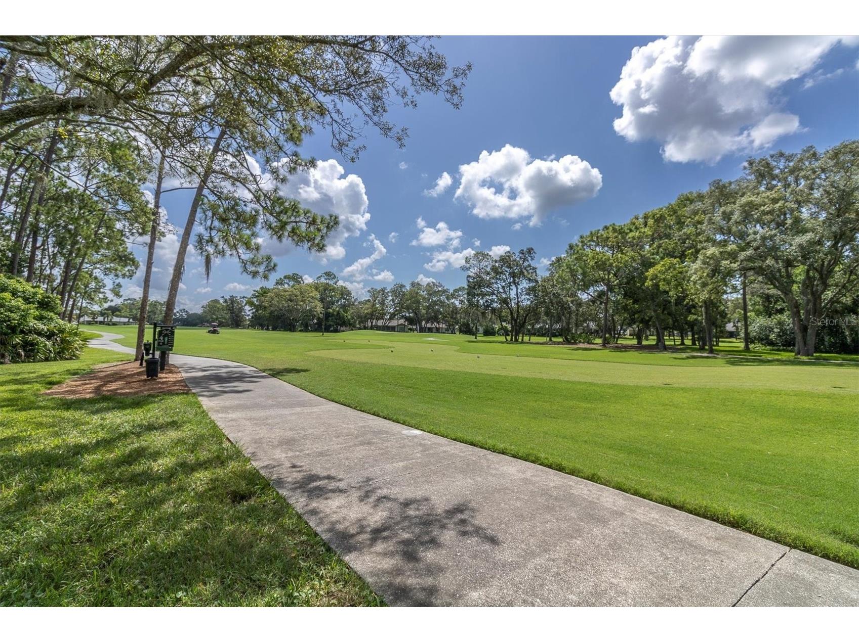 7099 Pond View Court Spring Hill FL 34606 W7881187 image44