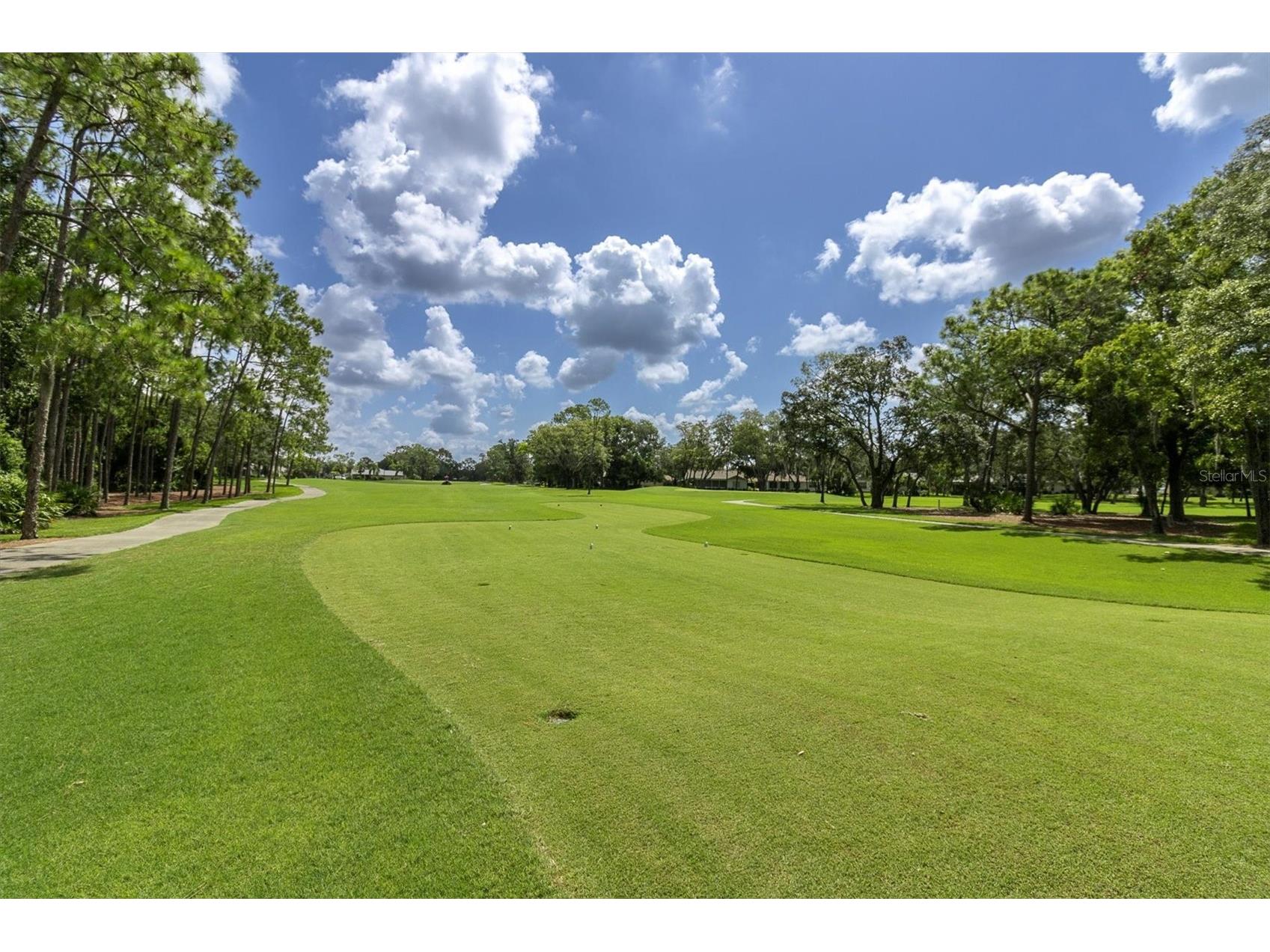 7099 Pond View Court Spring Hill FL 34606 W7881187 image45