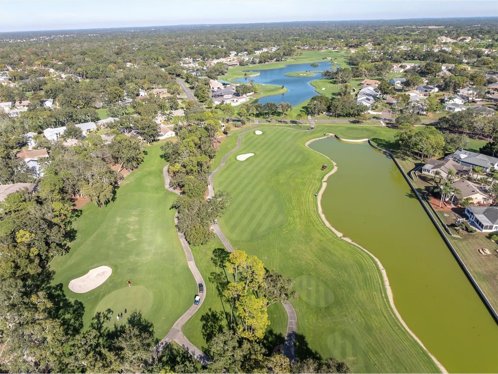 7099 Pond View Court Spring Hill FL 34606 W7881187 image61