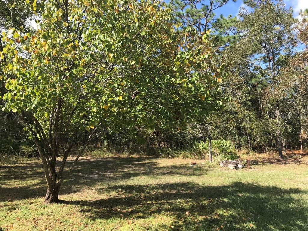 71 Corkwood Boulevard Homosassa FL 34446 TB8440746 image20