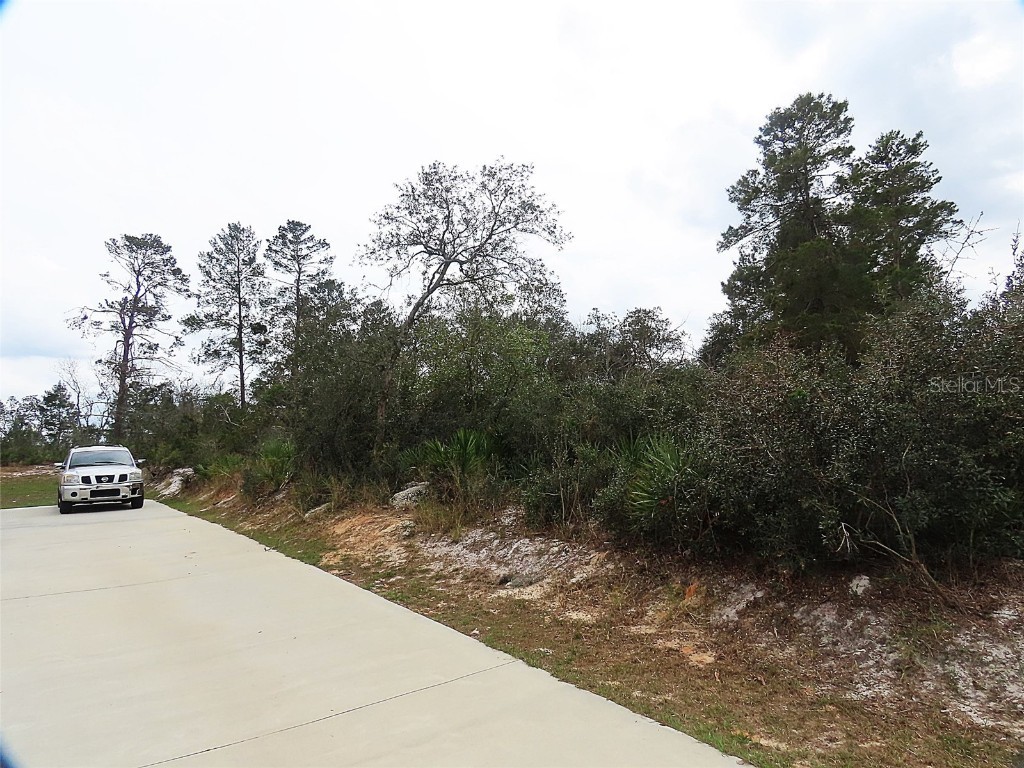 71 Orchid Court Kissimmee FL 34759 O6285113 image1