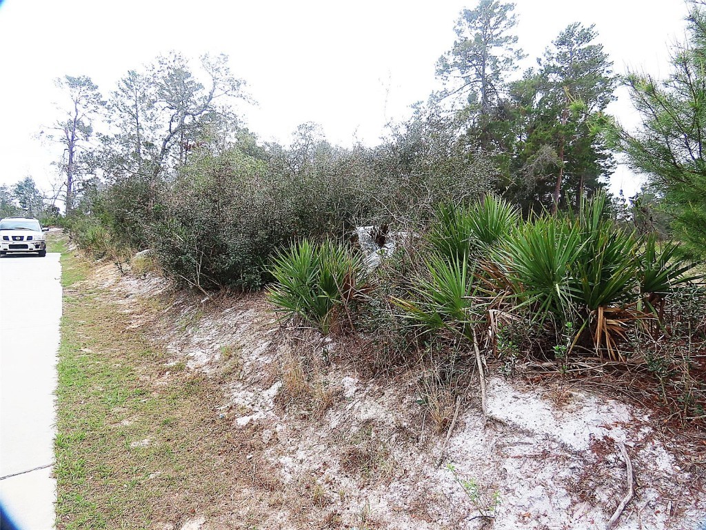 71 Orchid Court Kissimmee FL 34759 O6285113 image2