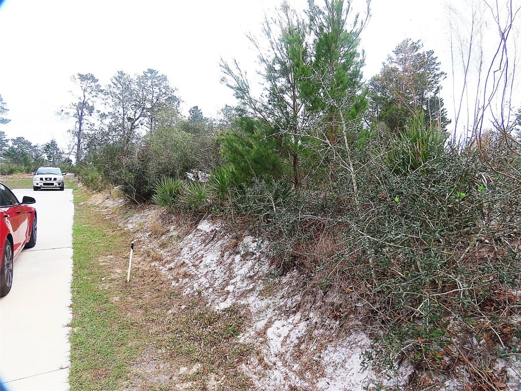 71 Orchid Court Kissimmee FL 34759 O6285113 image3