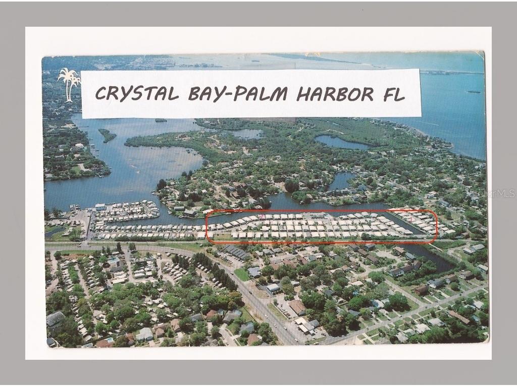 71 Schooner Drive #71 Palm Harbor FL 34683 TB8478390 image7