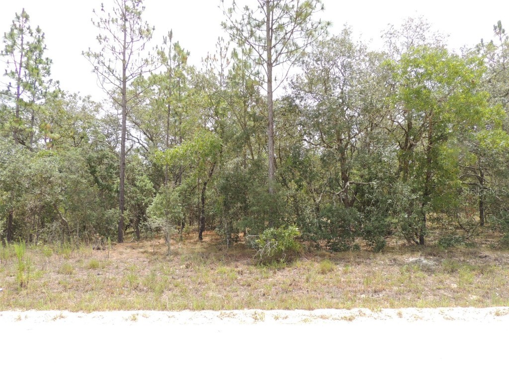 71 SE 141st Court Williston FL 32696 OM679772 image1