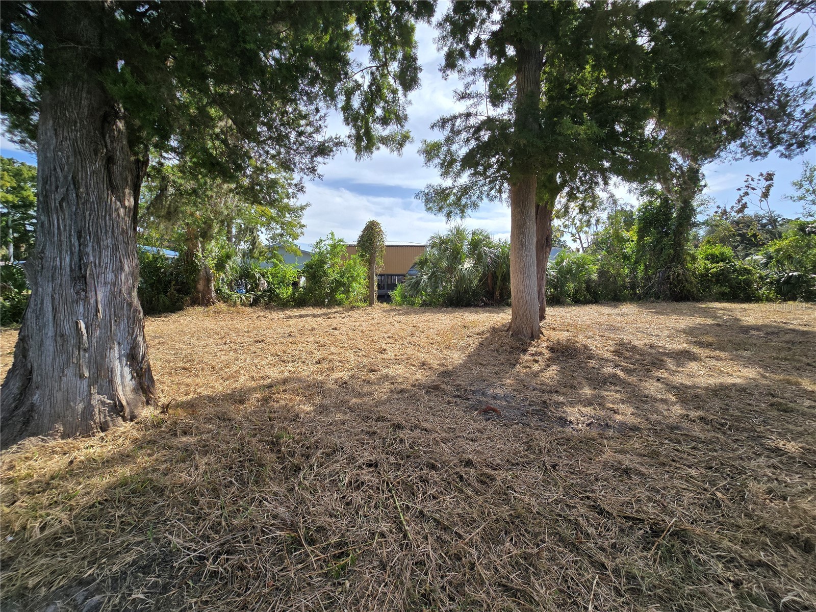 71 SE 893 Avenue Old Town FL 32680 - SUWANNEE RIVER GC534457 image4