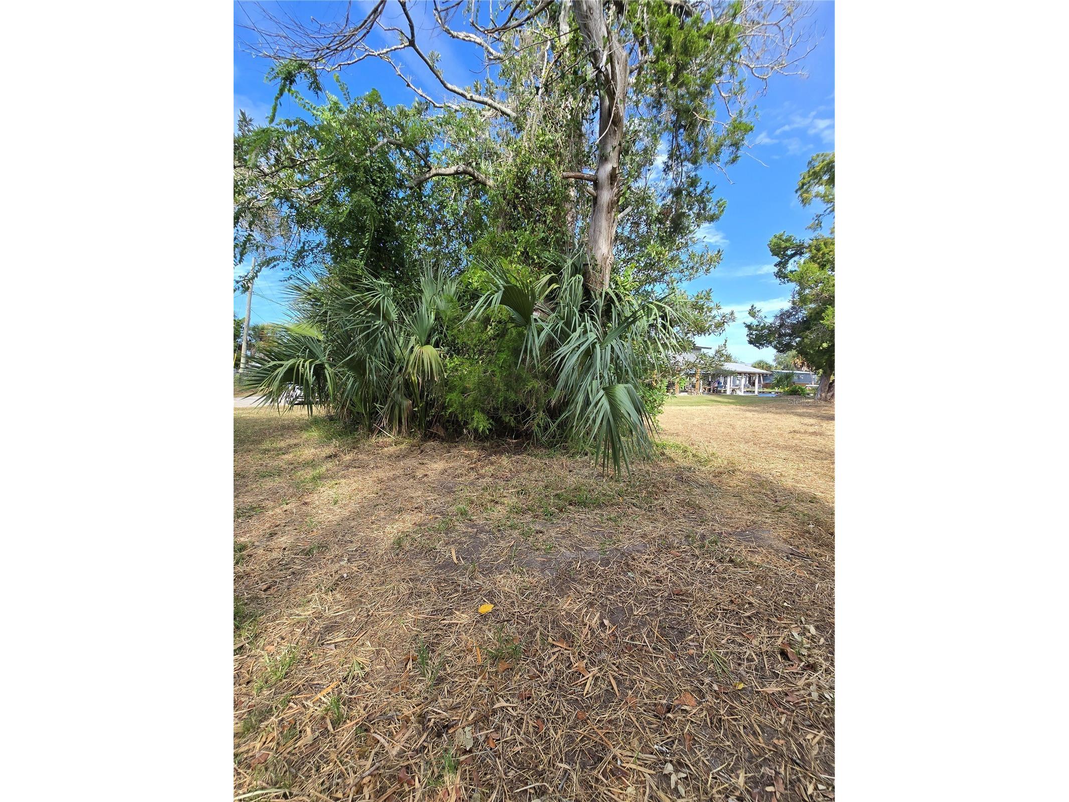 71 SE 893 Avenue Old Town FL 32680 - SUWANNEE RIVER GC534457 image7