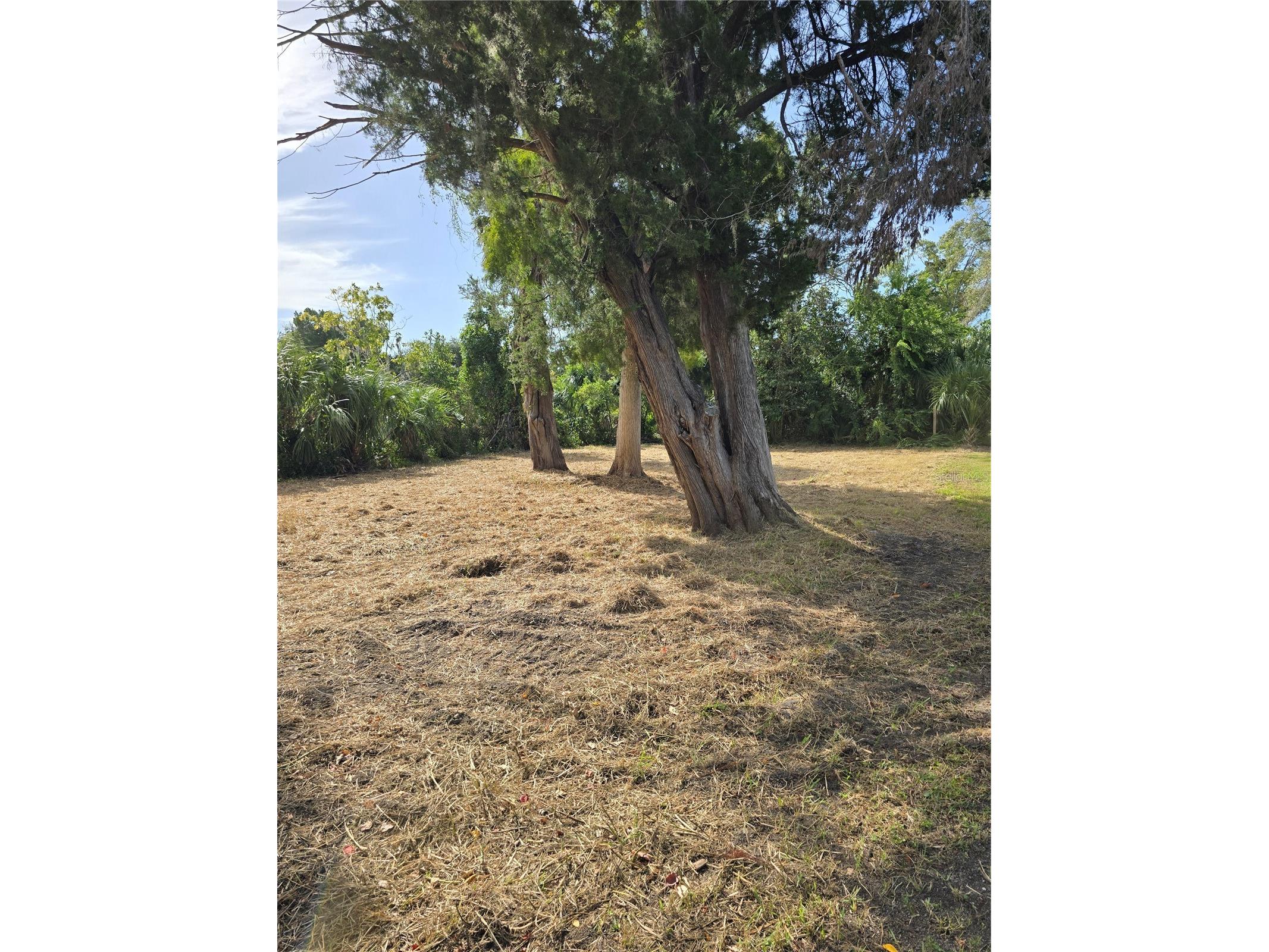 71 SE 893 Avenue Old Town FL 32680 - SUWANNEE RIVER GC534457 image9
