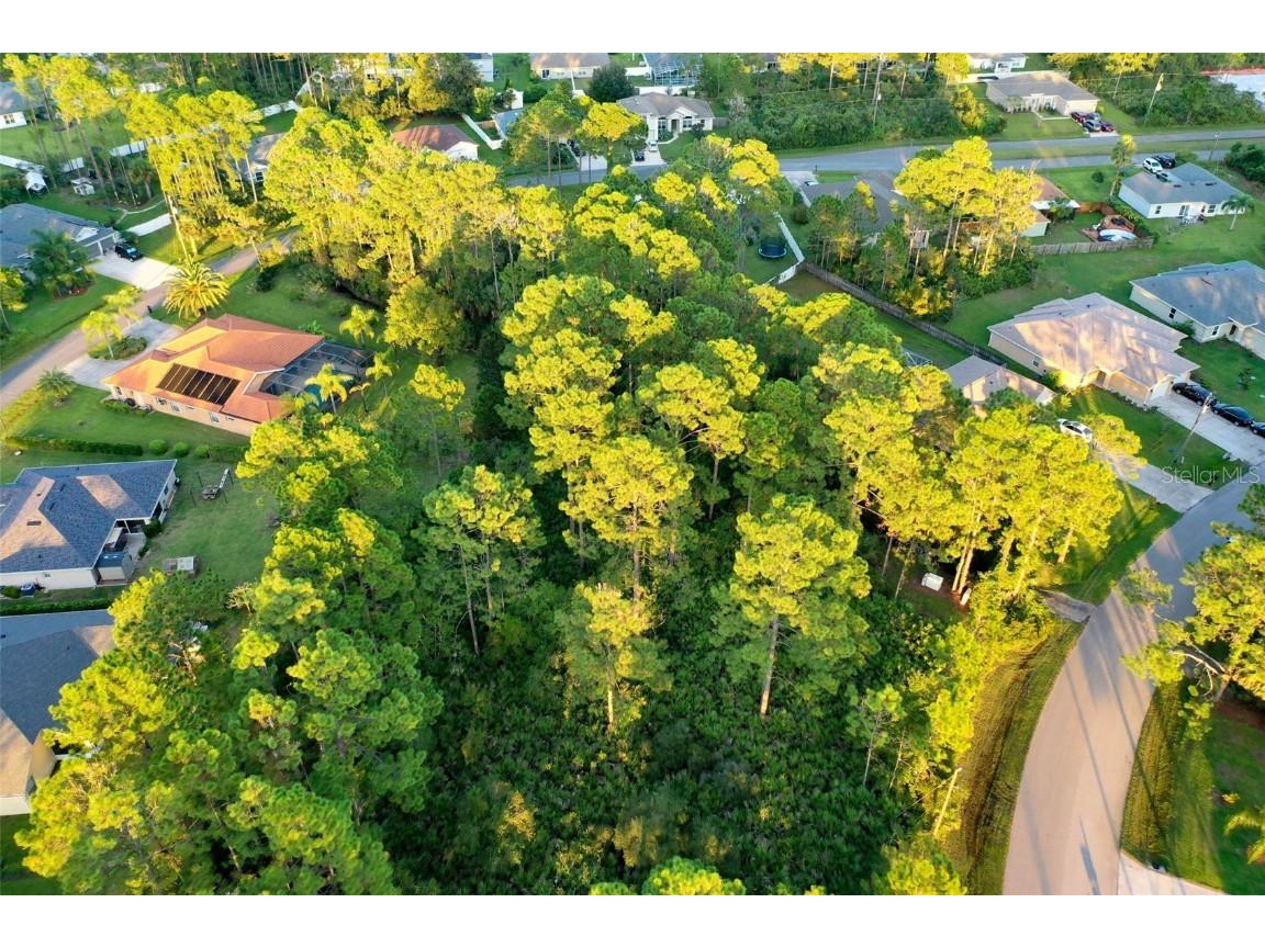 71 Sea Trail Palm Coast FL 32164 FC304239 image12