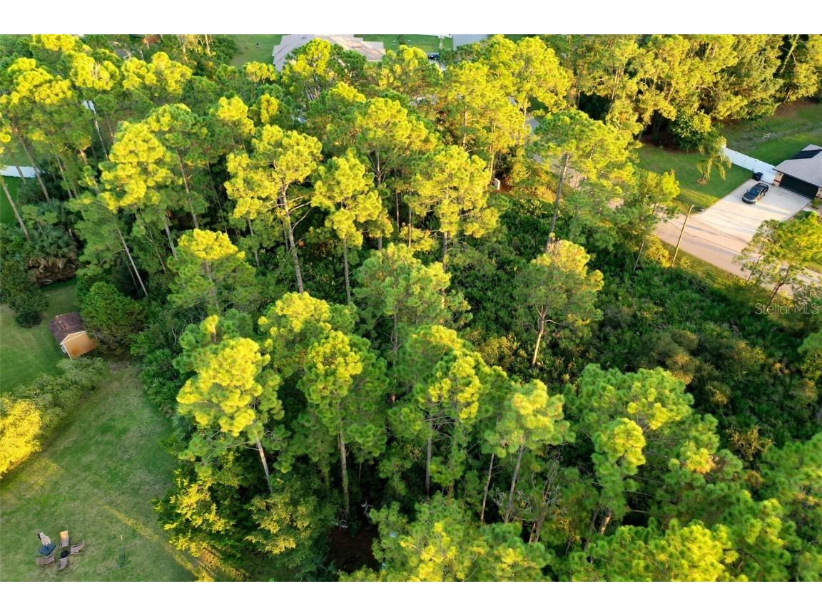 71 Sea Trail Palm Coast FL 32164 FC304239 image15