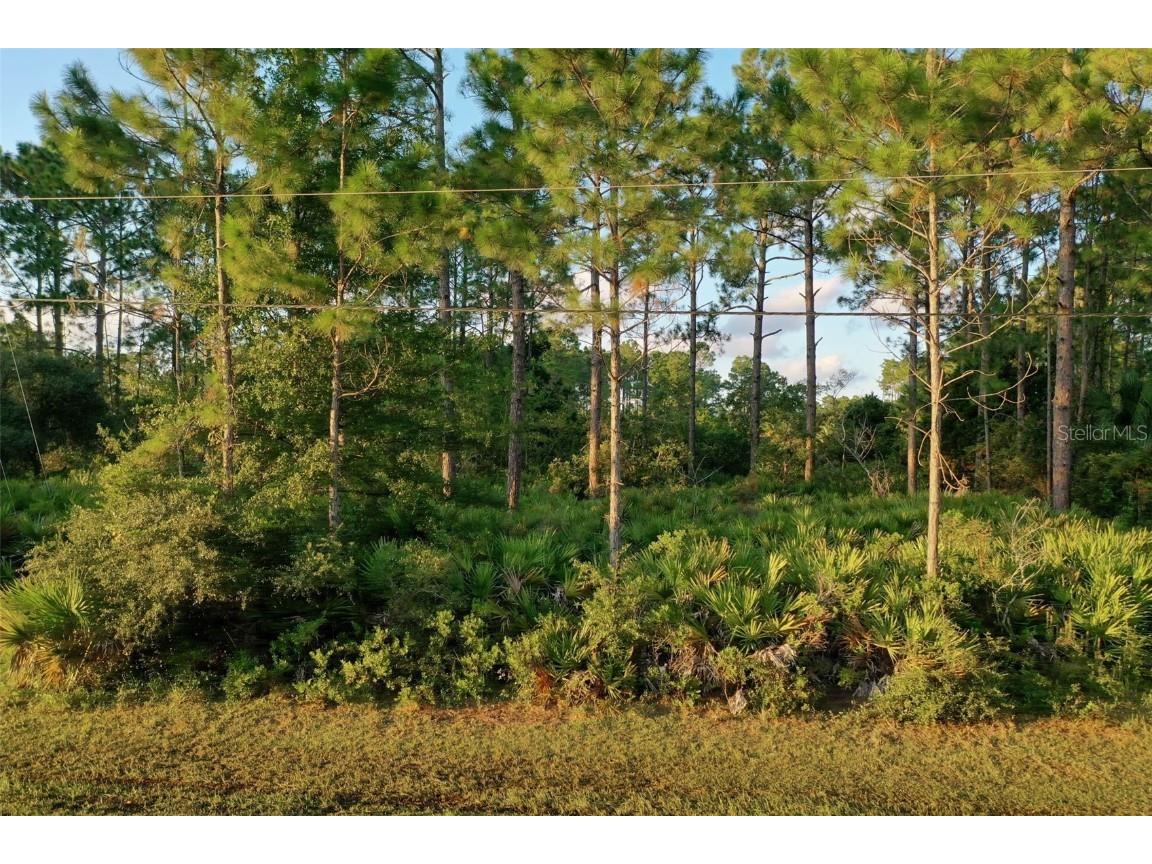 71 Sea Trail Palm Coast FL 32164 FC304239 image2