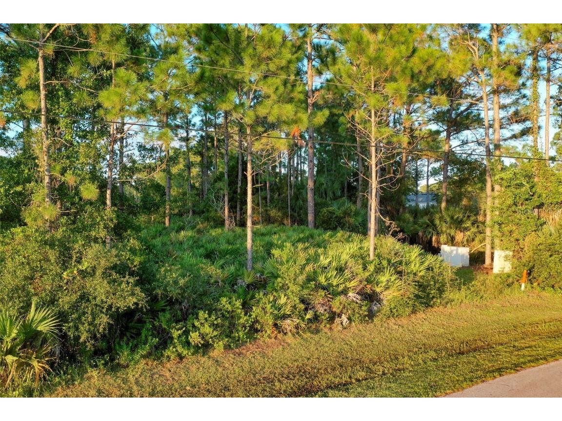 71 Sea Trail Palm Coast FL 32164 FC304239 image3