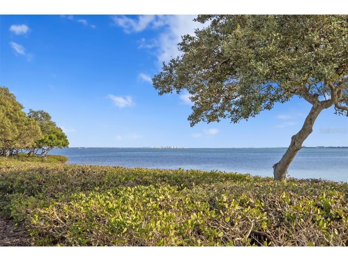 71 Tidy Island Boulevard Bradenton FL 34210 - SARASOTA BAY A4674328 image40