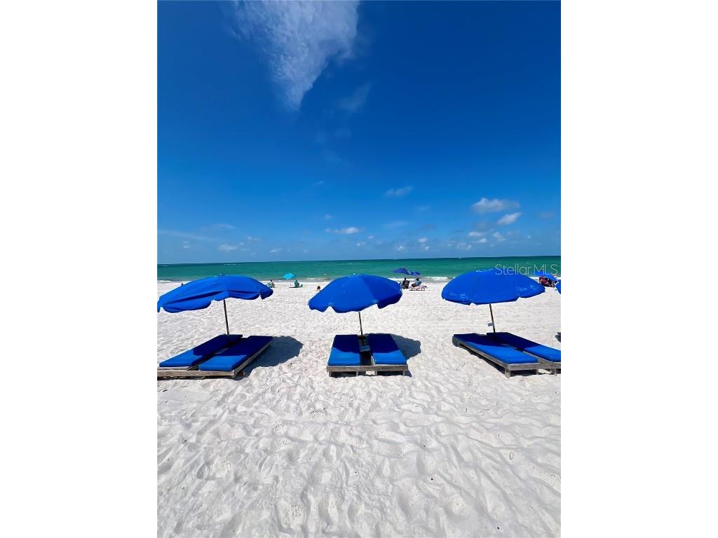 710 116th Avenue Treasure Island FL 33706 - BOCA CIEGA BAY TB8431006 image62