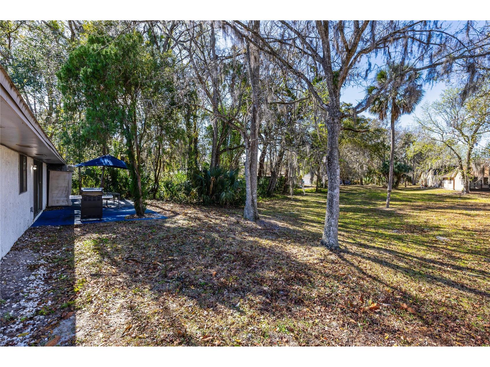 710 Briarwood Drive Winter Springs FL 32708 O6396343 image20