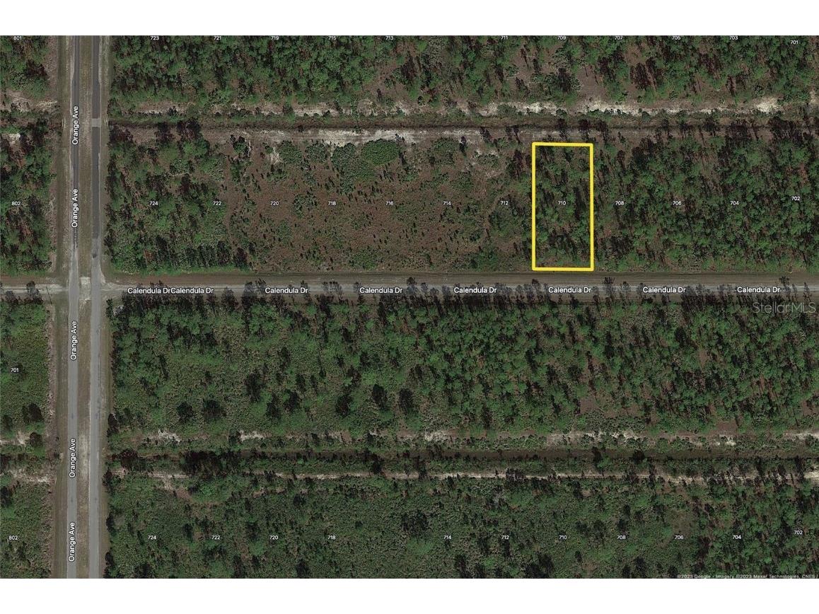 710 Calliandra Drive Indian Lake Estates FL 33855 - LAKE WALK IN WATER T3430050 image1