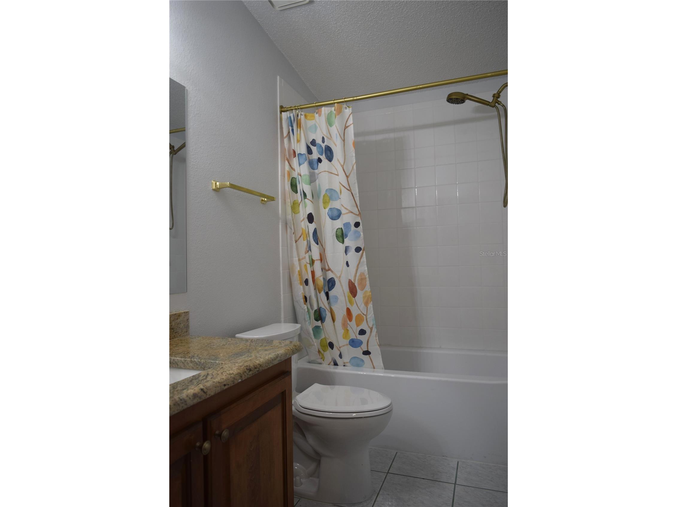 710 Cortez Avenue Lady Lake FL 32159 OM722755 image16