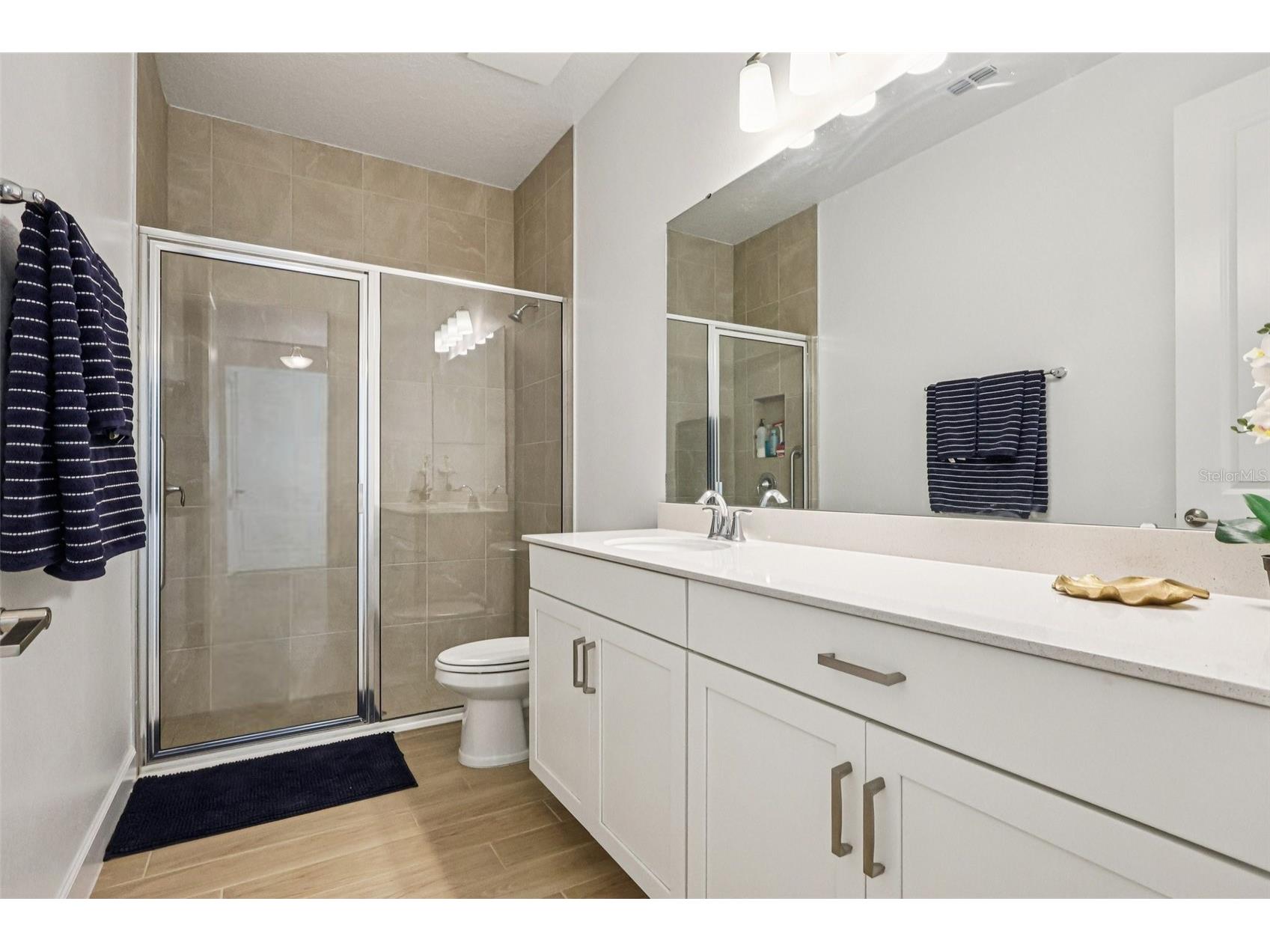 710 Creeping Fig Street Apopka FL 32703 S5144190 image24