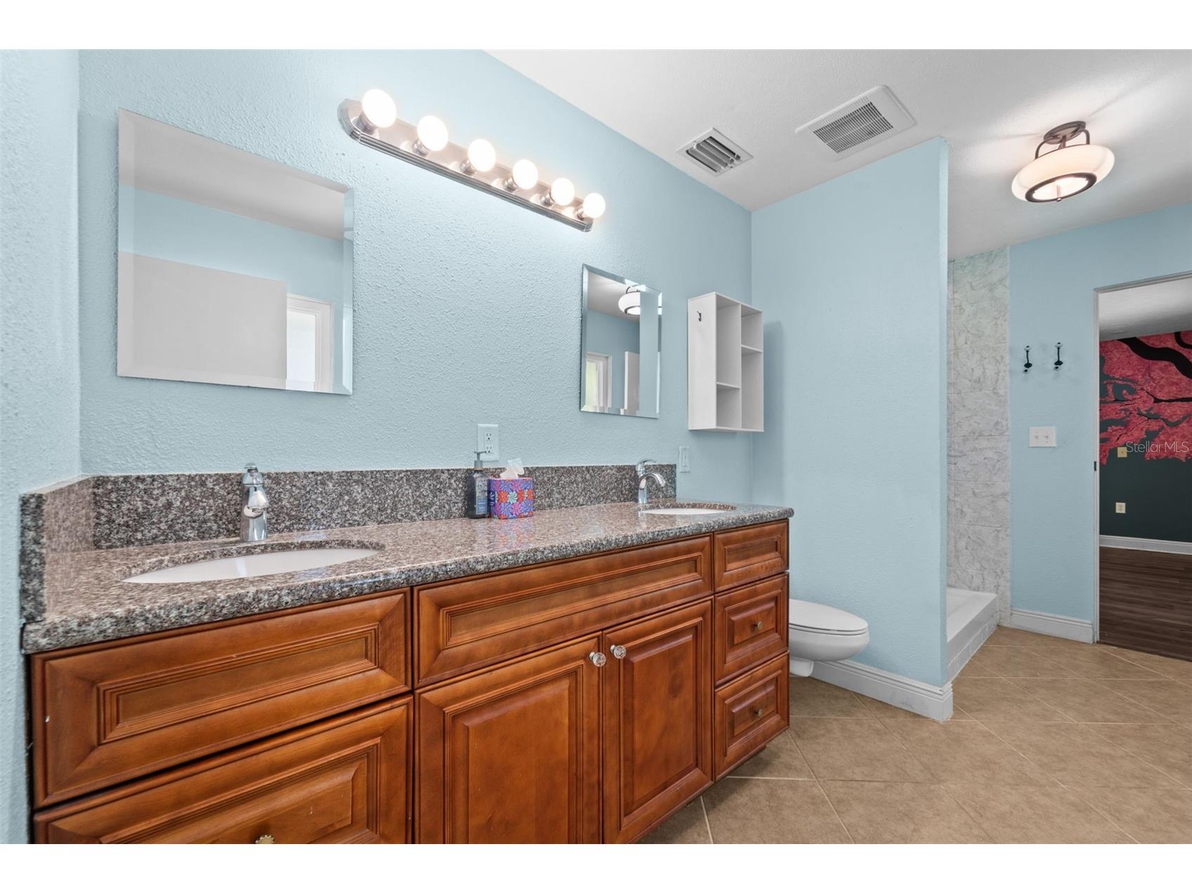 710 Debra Lynne Drive Brandon FL 33511 TB8527757 image22