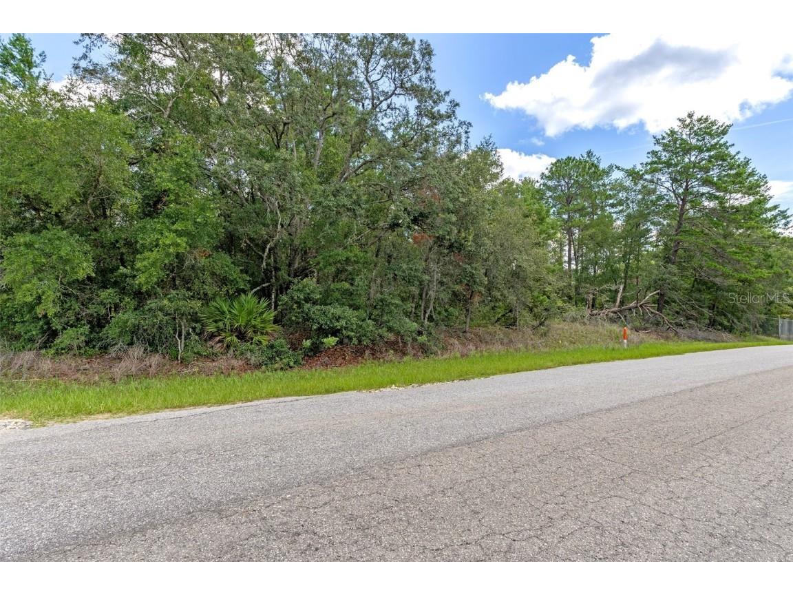 710 E Overdrive Lot 15 Circle Hernando FL 34442 OM704879 image1