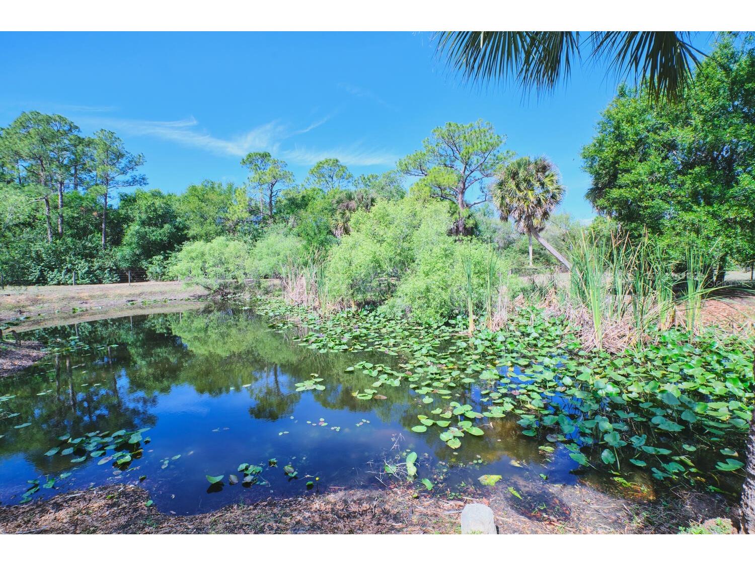 710 & 740 Evans Road Labelle FL 33935 A4688017 image59