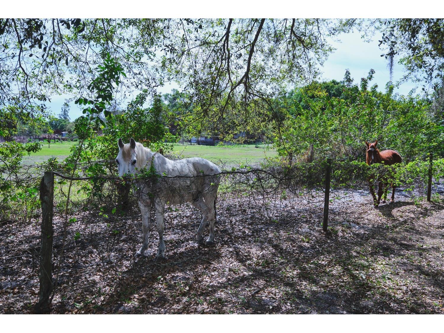 710 & 740 Evans Road Labelle FL 33935 A4688017 image67