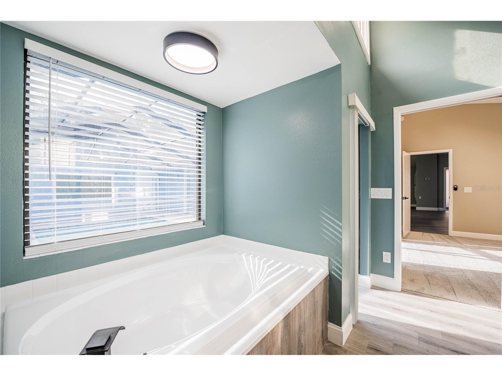 710 Loma Linda Court Brandon FL 33511 TB8525792 image28