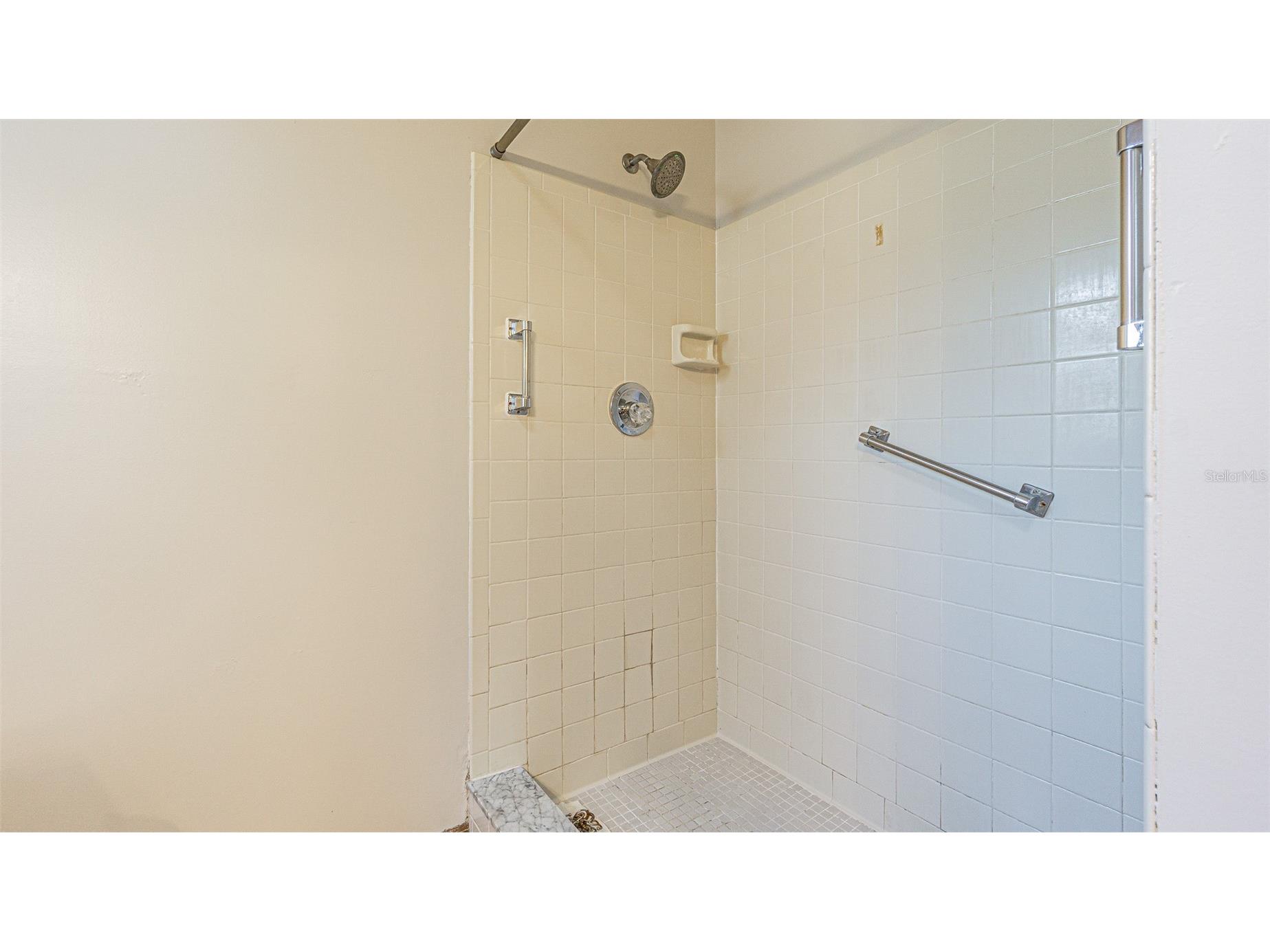 710 Millifold Place Brandon FL 33510 TB8461572 image23