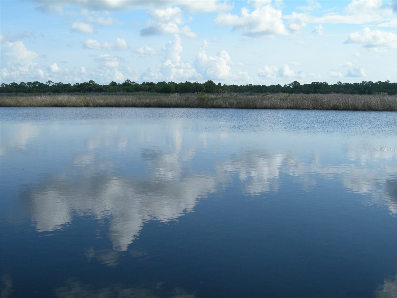 710 N River Road Venice FL 34293 - MYAKKA RIVER N6142341 image45