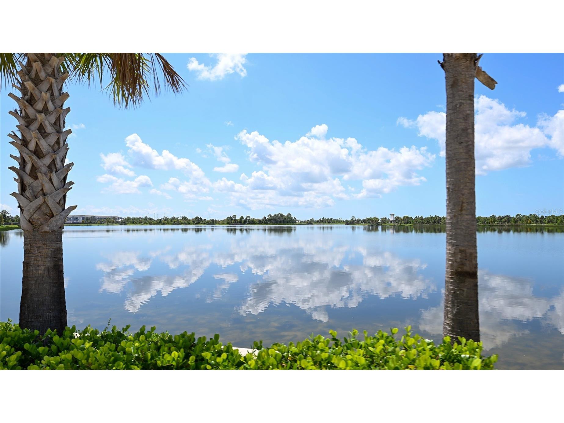 710 N River Road Venice FL 34293 - MYAKKA RIVER N6142341 image55