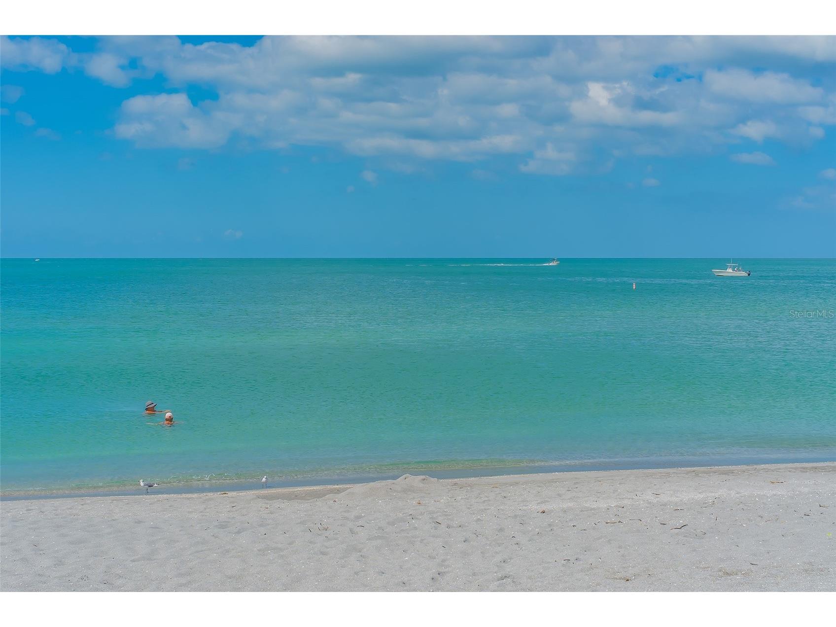 710 N River Road Venice FL 34293 - MYAKKA RIVER N6142341 image65