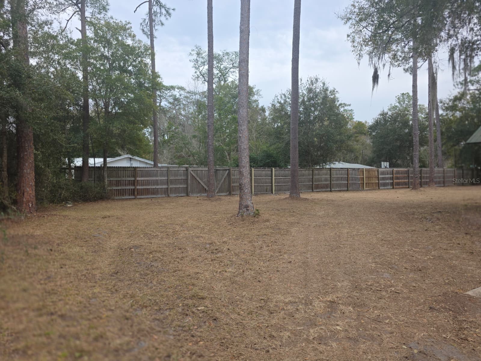 710 NE 11th Avenue Gainesville FL 32601 TB8499012 image46