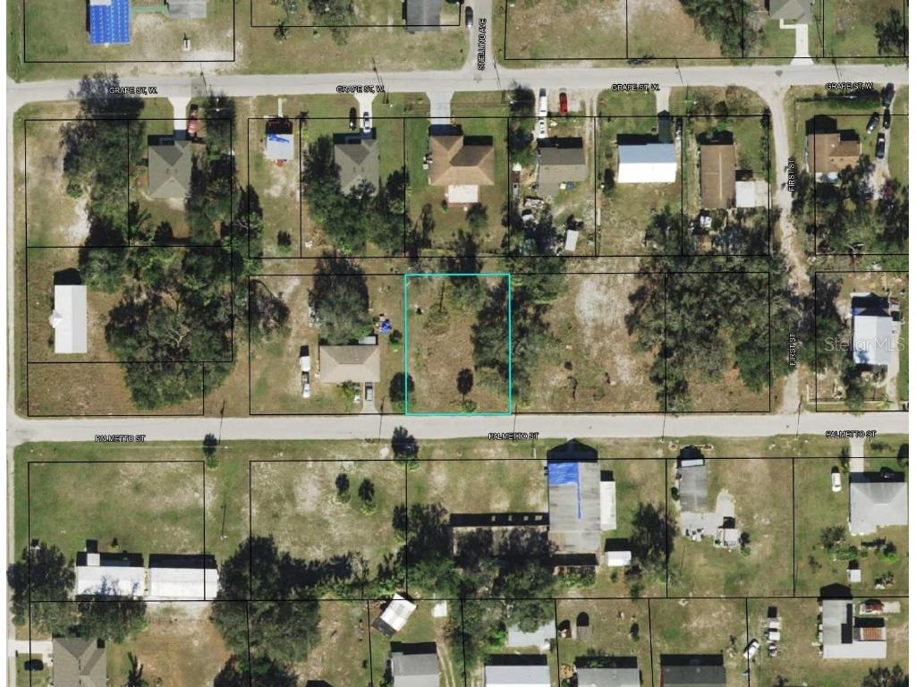 710 Palmetto Street Bowling Green FL 33834 L4944979 image1