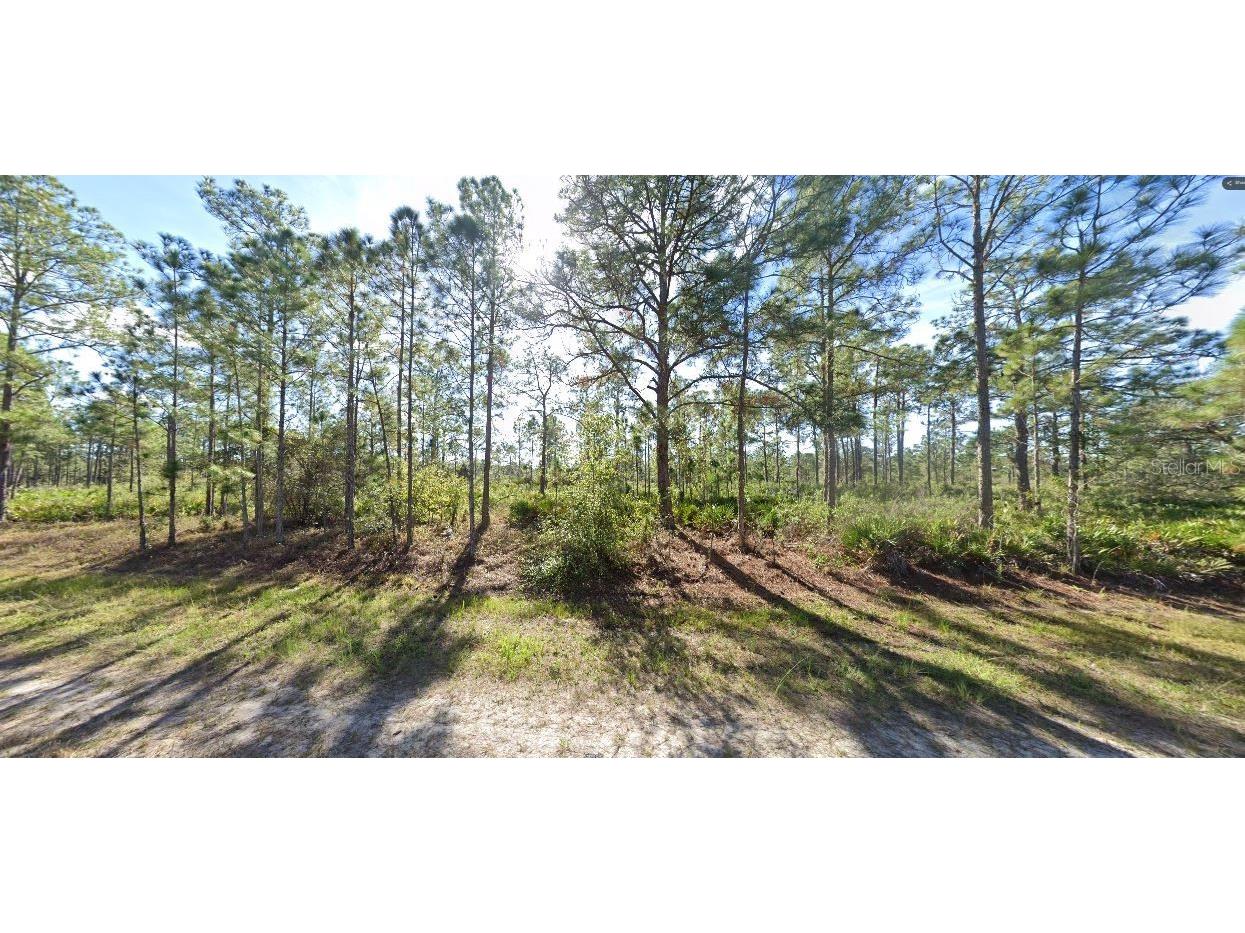 710 Portulaca Drive Indian Lake Estates FL 33855 O6312582 image5