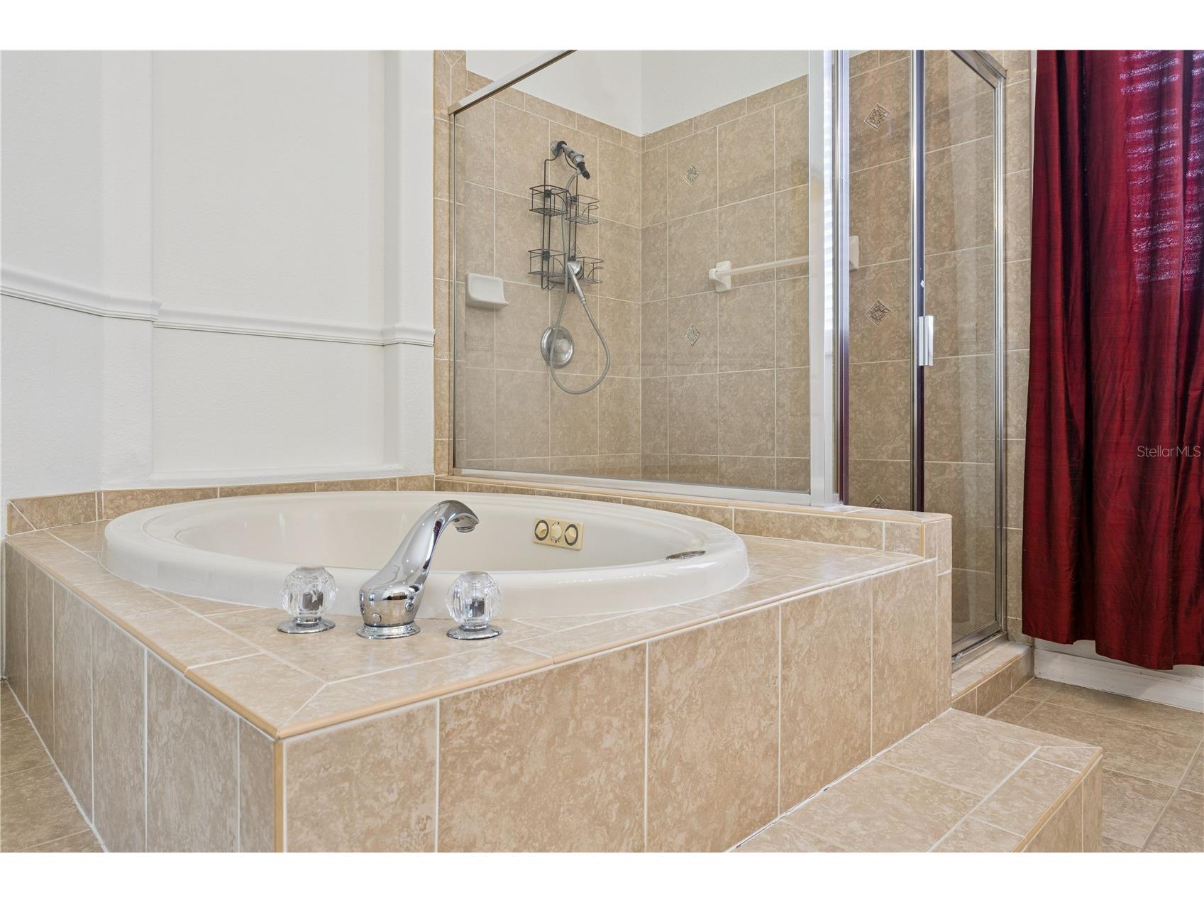 710 Regina Circle Oakland FL 34787 - JOHNS LAKE O6415350 image25
