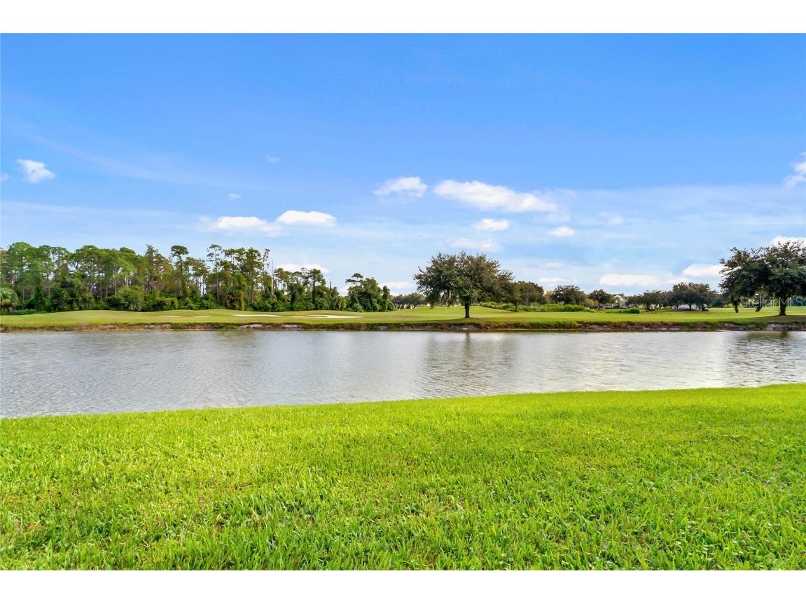 710 Siena Palm Drive #102 Celebration FL 34747 O6337544 image42