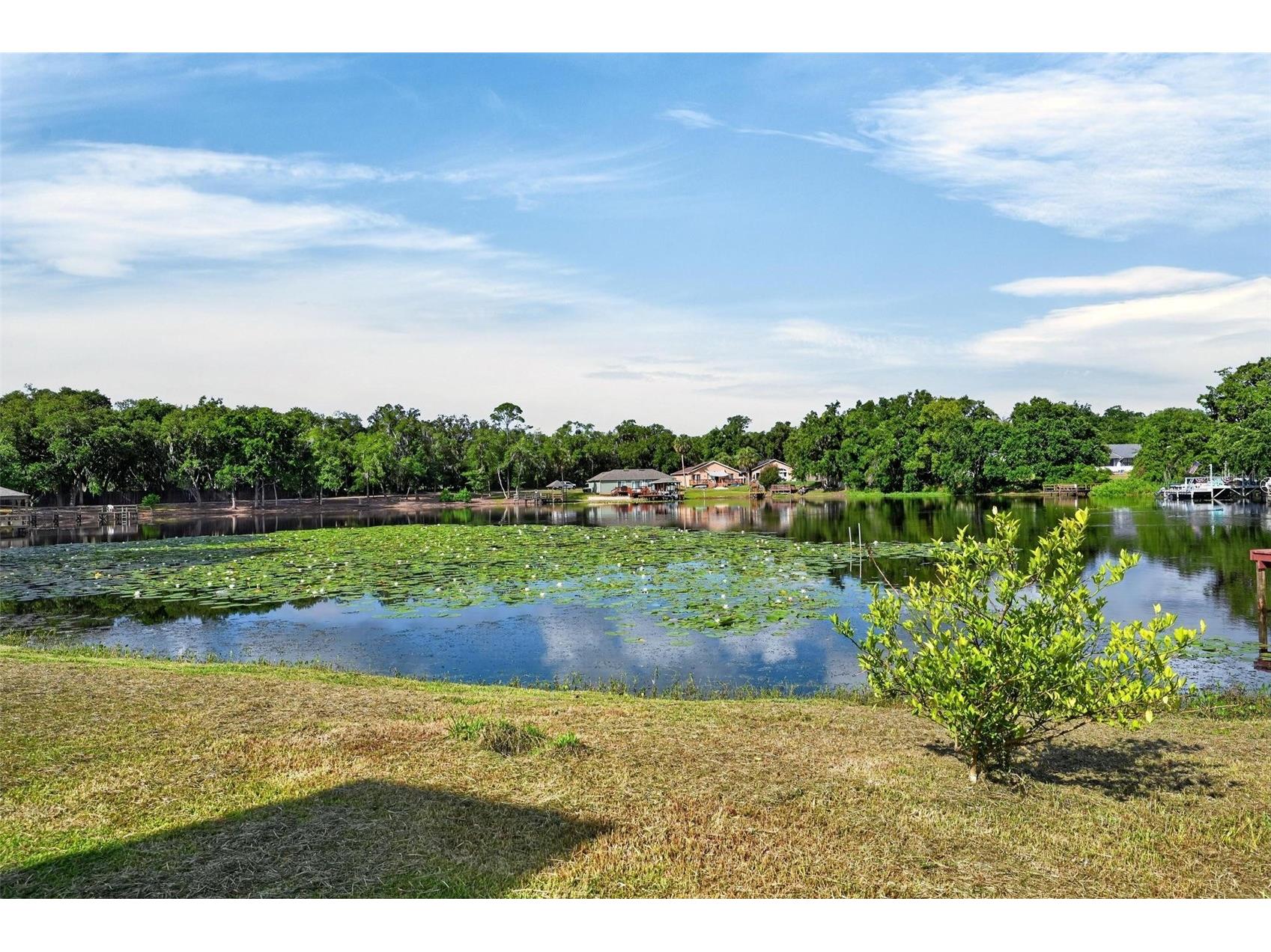 710 Twin Oaks Lane Eustis FL 32726 - LAKE MAGGIE G5112740 image67