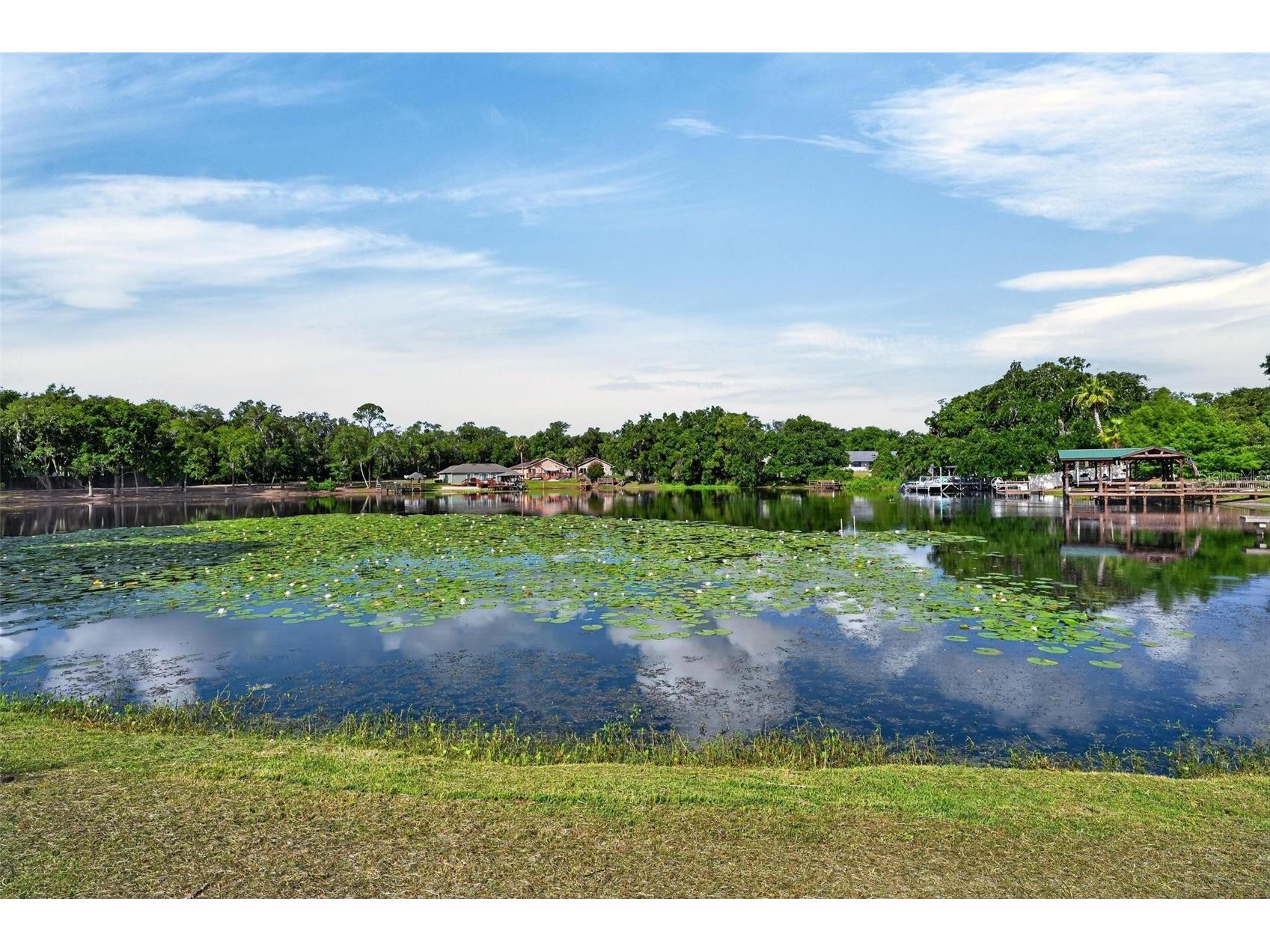 710 Twin Oaks Lane Eustis FL 32726 - LAKE MAGGIE G5112740 image68