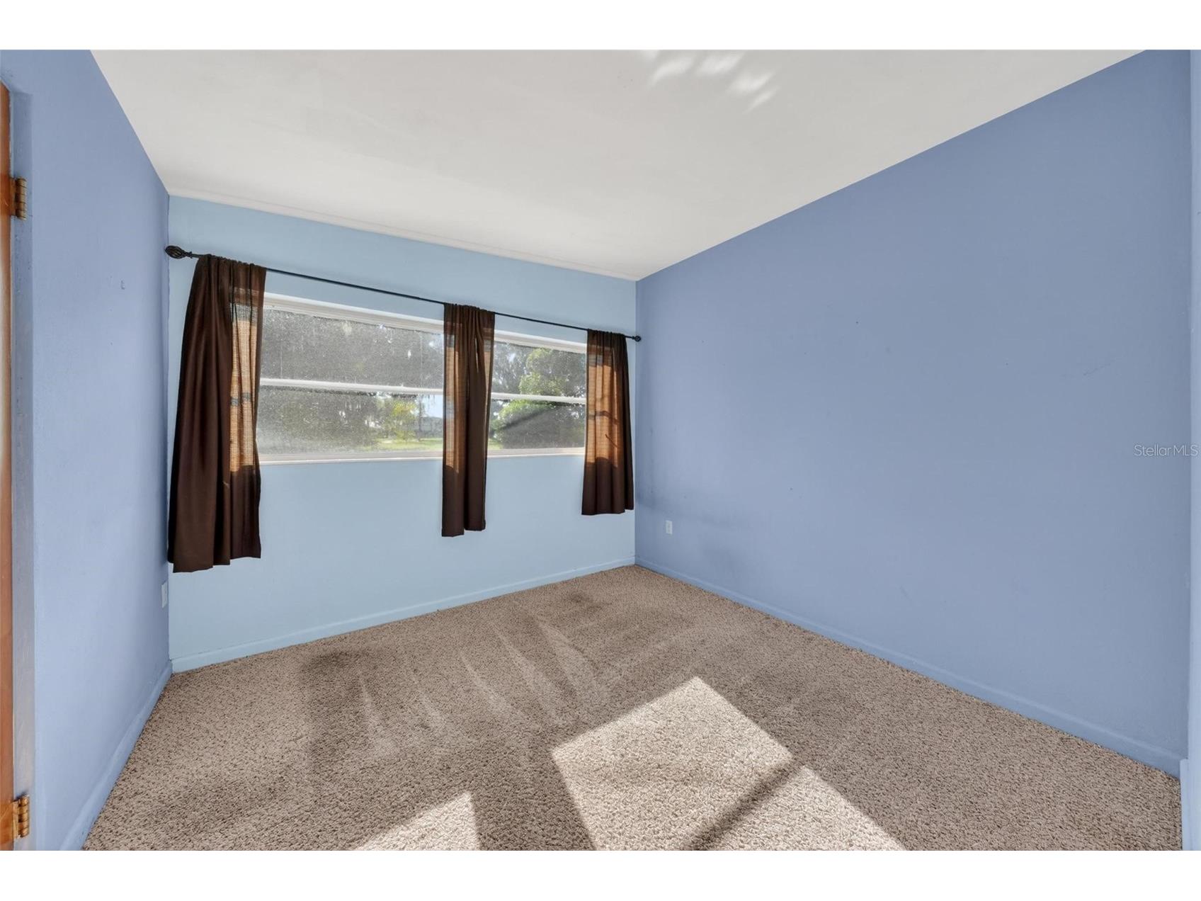 710 Twin Oaks Lane Eustis FL 32726 - LAKE MAGGIE G5112740 image8