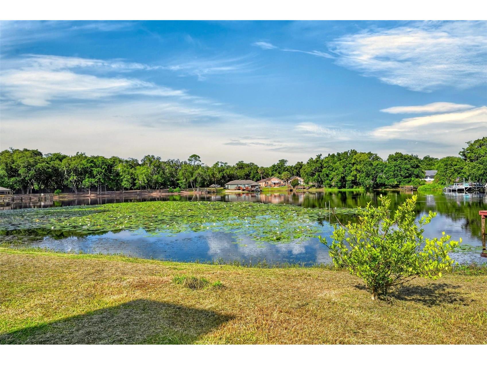 710 Twin Oaks Lane Eustis FL 32726 - LAKE MAGGIE G5112740 image93