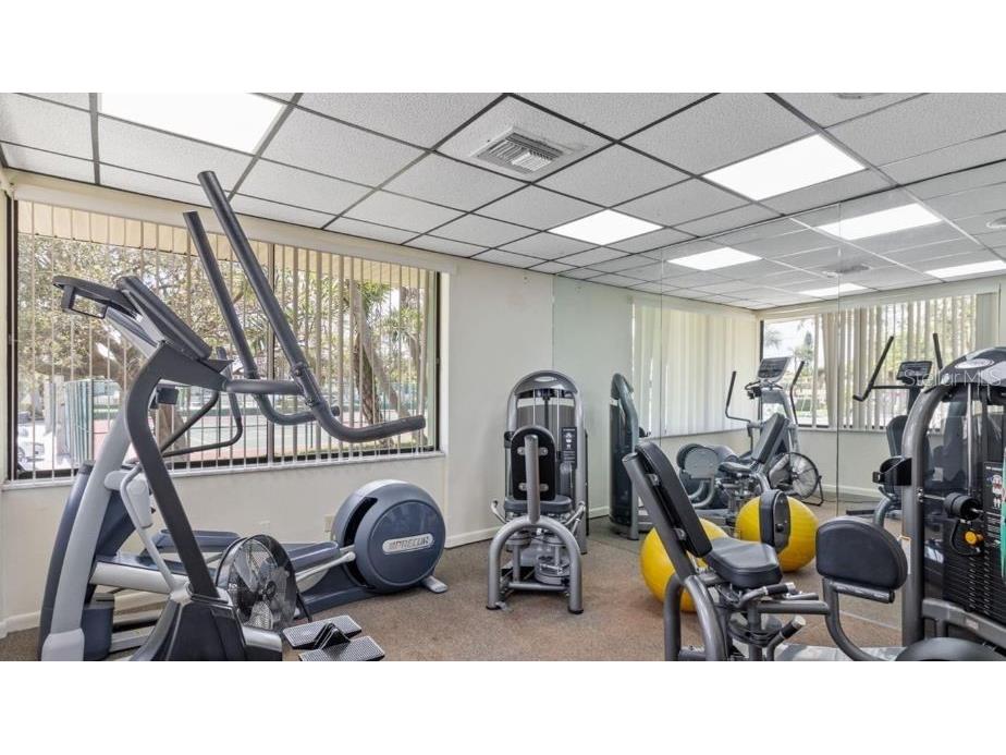 7100 Sunset Way #801 Saint Pete Beach FL 33706 - GULF OF AMERICA O6390457 image43