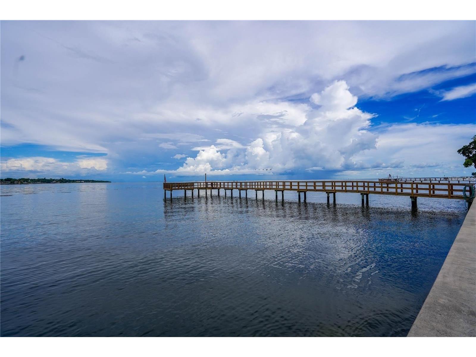 7100 Sunshine Skyway Lane S #201 Saint Petersburg FL 33711 - TAMPA BAY W7883022 image39