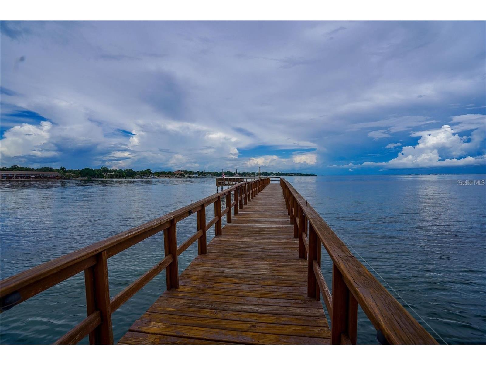 7100 Sunshine Skyway Lane S #201 Saint Petersburg FL 33711 - TAMPA BAY W7883022 image40