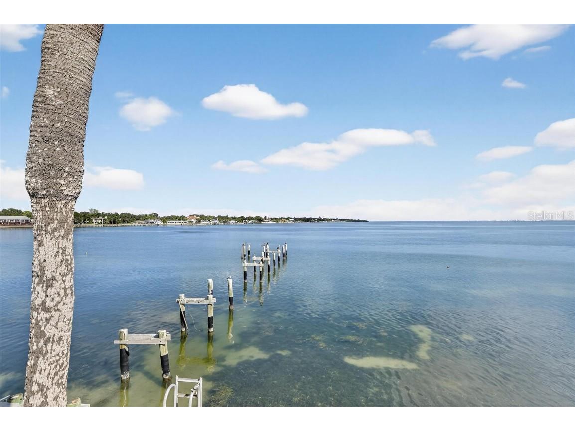 7100 Sunshine Skyway Lane S #503 Saint Petersburg FL 33711 - TAMPA BAY TB8442111 image64